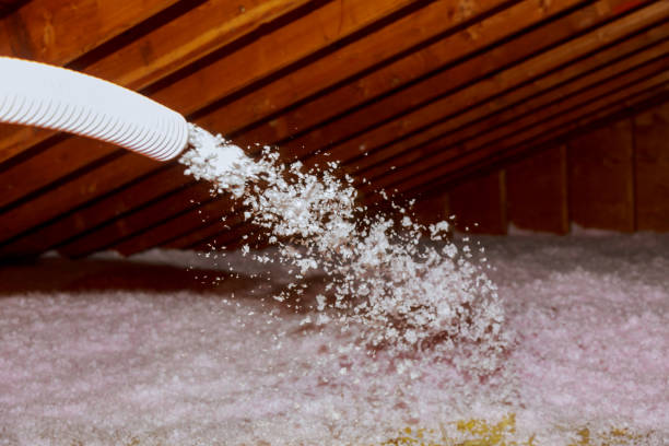 Best Residential Insulation Services  in Morenci, AZ