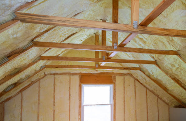 Best Insulation Repair Services  in Morenci, AZ
