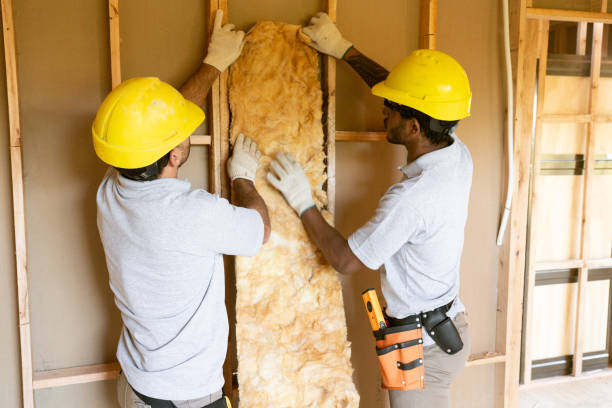 Best Attic Insulation Installation  in Morenci, AZ