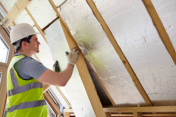 Best Attic Insulation Installation  in Morenci, AZ