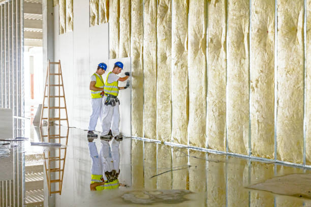 Best Spray Foam Insulation  in Morenci, AZ